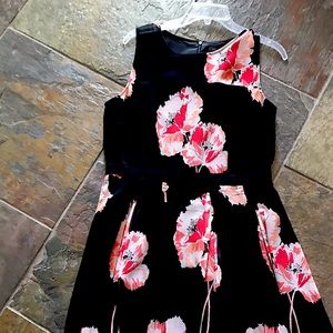 Anne Taylor Dress